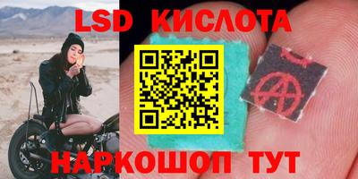 тгк Дубна
