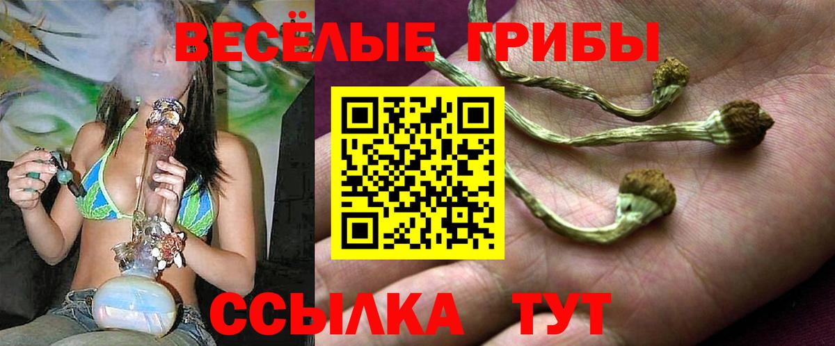 Галлюциногенные грибы Magic Shrooms Кингисепп